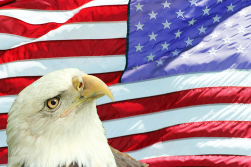 security image of a eagleflag